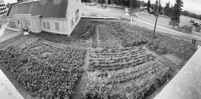 A view of the JRCC garden from the roof.