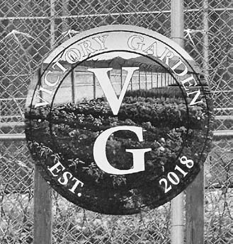 The NDSP Victory Garden, which was founded in 2018.