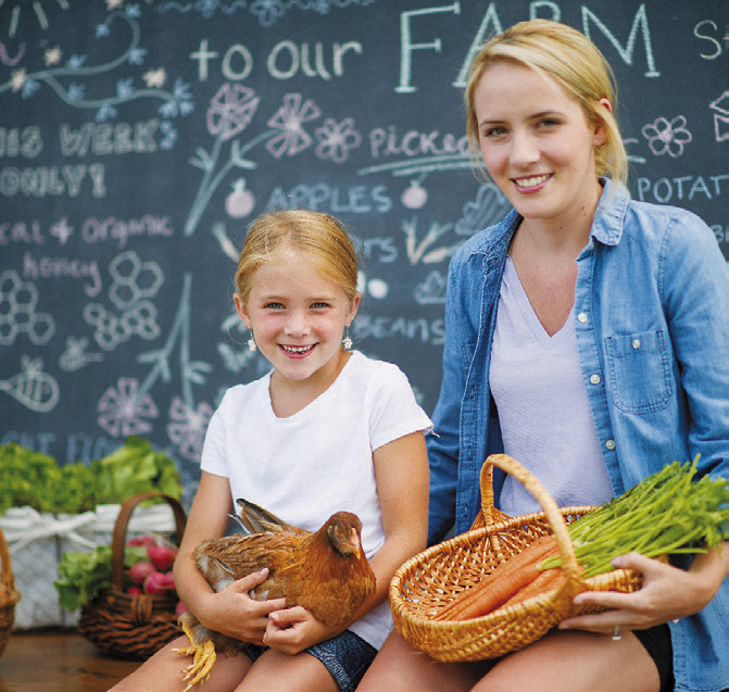 Farmers markets in full swing