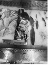 Yummy fish parts