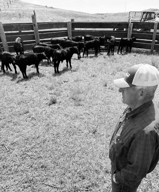 Dennis keeping an eye out for cow tippers