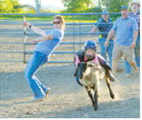 Pembina County Fair brings five days of family fun to Hamilton