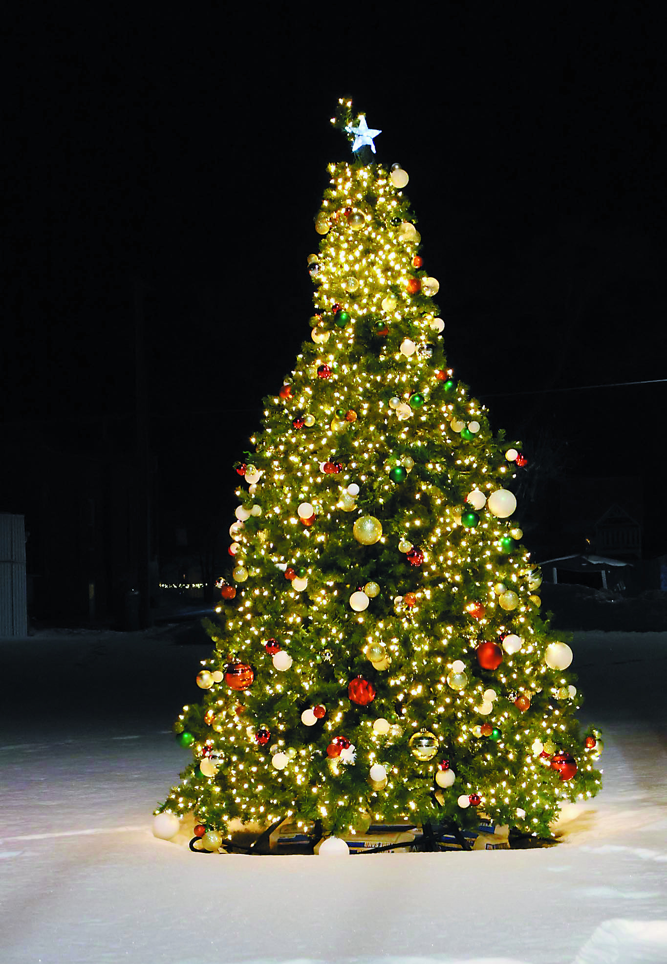 Christmas Tree set up by the Walhalla Area Chamber of Commerce. Photo by Rebecca Davis.