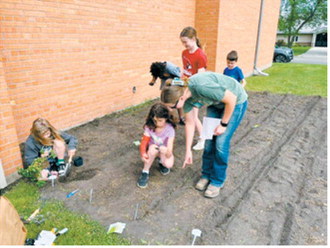 Participants in the Junior Master Gardener program work in the new community garden behind the Cavalier County Courthouse. Photo by Jane Hayen