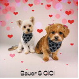 Fur-ever yours: Adorable pups get glam for Valentine’s Day