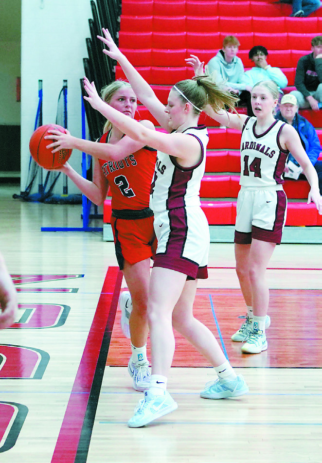 Mikaela Olson puts pressure on a Patriot player causing a turnover. Photo by Larry Stokke.