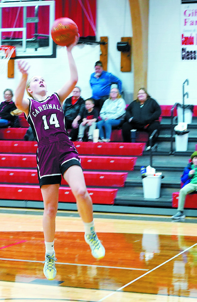 Hilary Haaven lays in a basket in the Cards' win over North Star. Photo by Larry Stokke.