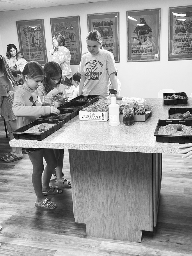 Walhalla Public Library News