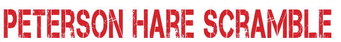 Alt Text for Image