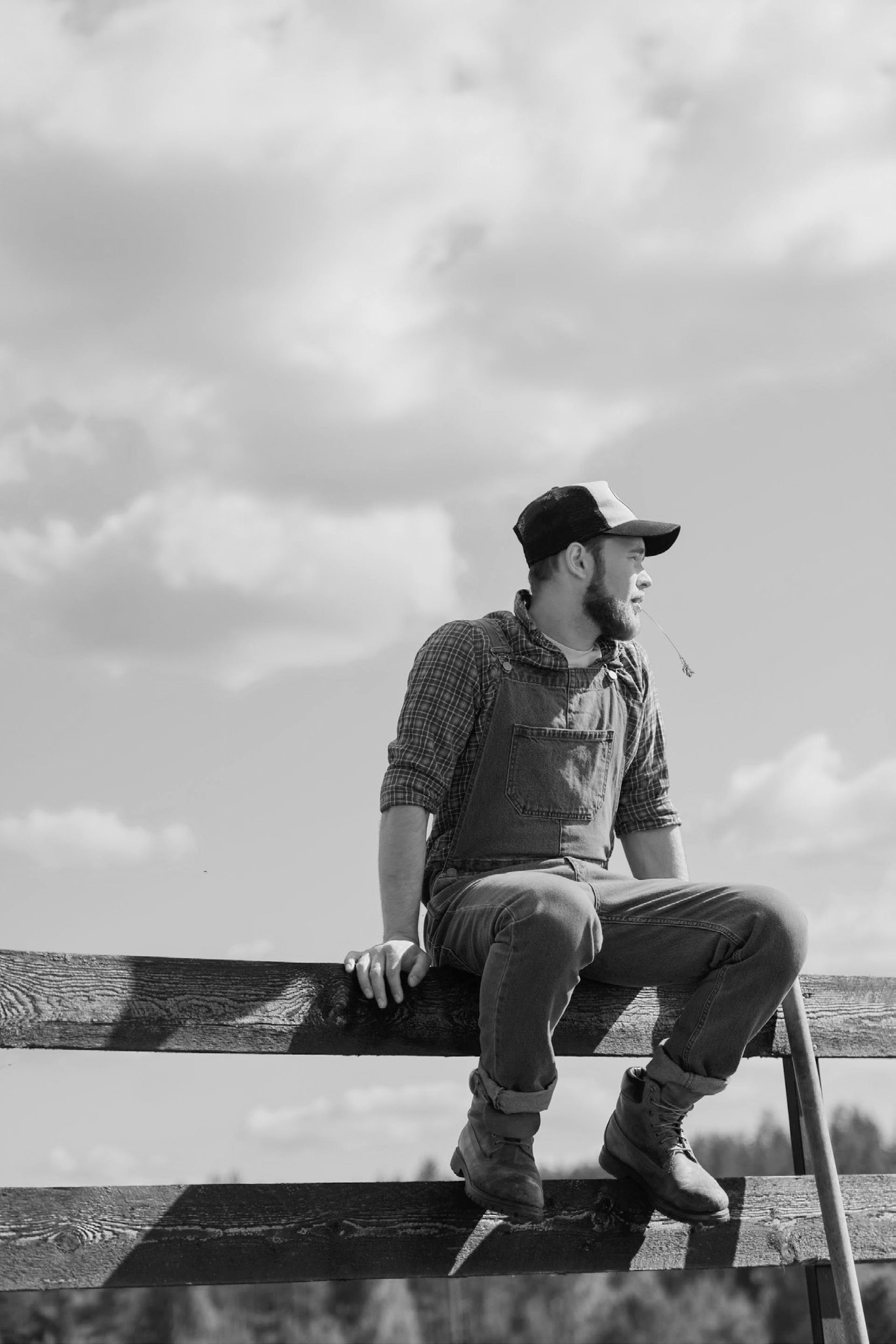 Although the QPR trainings focus on people in and around agriculture, anyone interested in the topic can register. (Pexels photo).