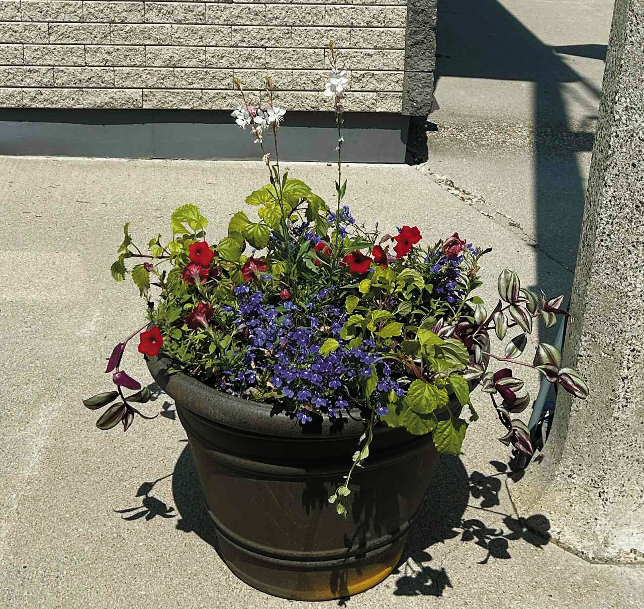 Here’s one of the many planters now lining Main Street in Walhalla. Photo by Rebecca Davis.