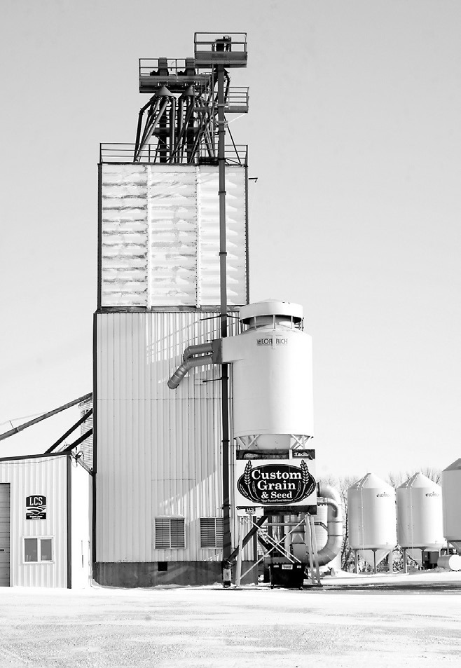 Photo by Larry Stokke of Custom Grain and Seed's facilities.