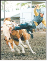 Wojo’s Rodeo 2026. Photo by Larry Stokke