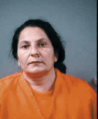 Romanian woman faces charges after illegally crossing border with group