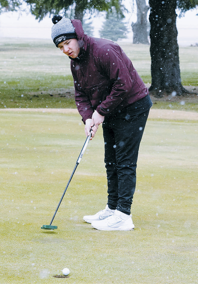 Maddux Busse sinks a putt as snow falls during the Dave Osborn Invitational in Cando on May 5. Busse shot an 83 to finish 14th overall. Photo by Larry Stokke
