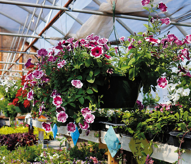 Nature’s Best is now under new ownership, but providing the same great services. Photo by Rebecca Davis.