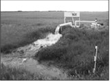 A subsurface tile system removes excess water from an agricultural field. (NDSU photo)