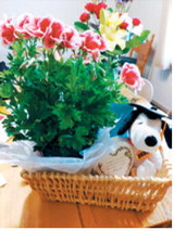 Members of the Langdon Area High School Class of 2026 presented the Freer family with a gift basket in memory of classmate John Freer during graduation ceremonies May 24. John, who died of cancer as a child, would have graduated with the Class of 2026 this spring. The tribute served as a reminder that he remains a cherished part of the class.