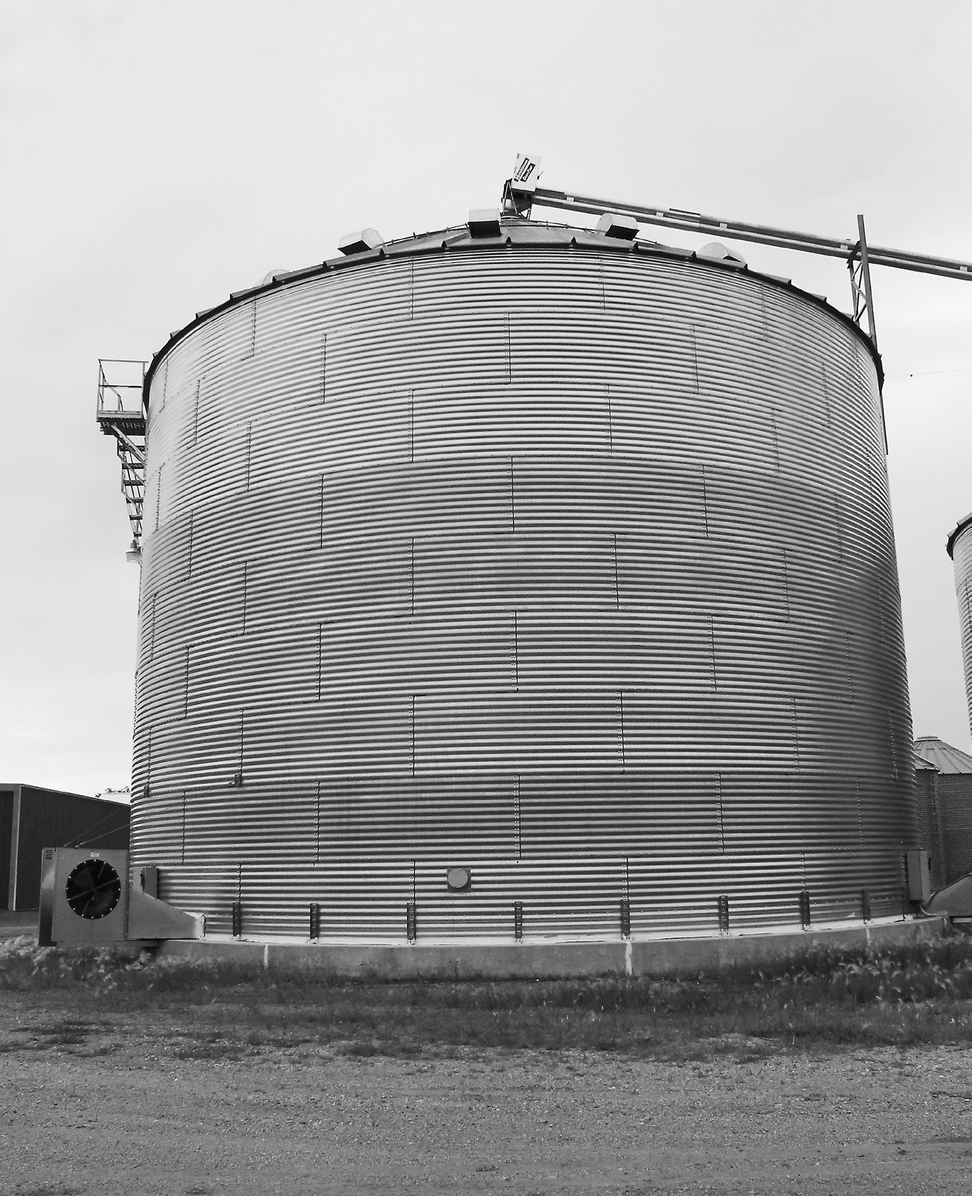 Be proactive against mold growth in grain storage by monitoring temperature and moisture. (NDSU photo)