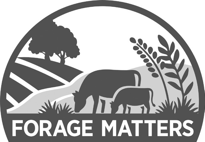Forage Matters: Cover crops, grazing and nitrogen fixation