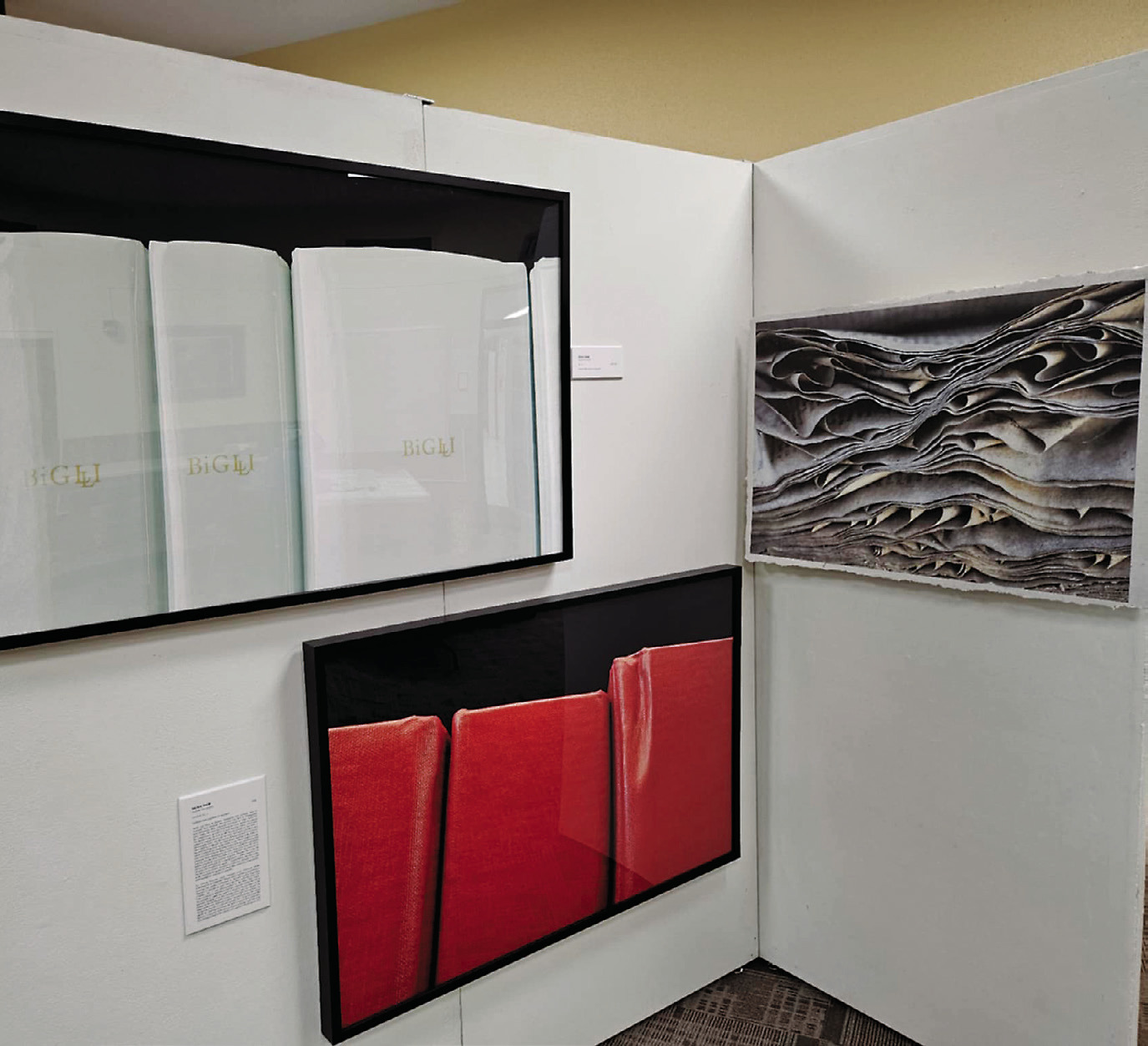 ‘Bookings’ exhibited at Cavalier County Courthouse