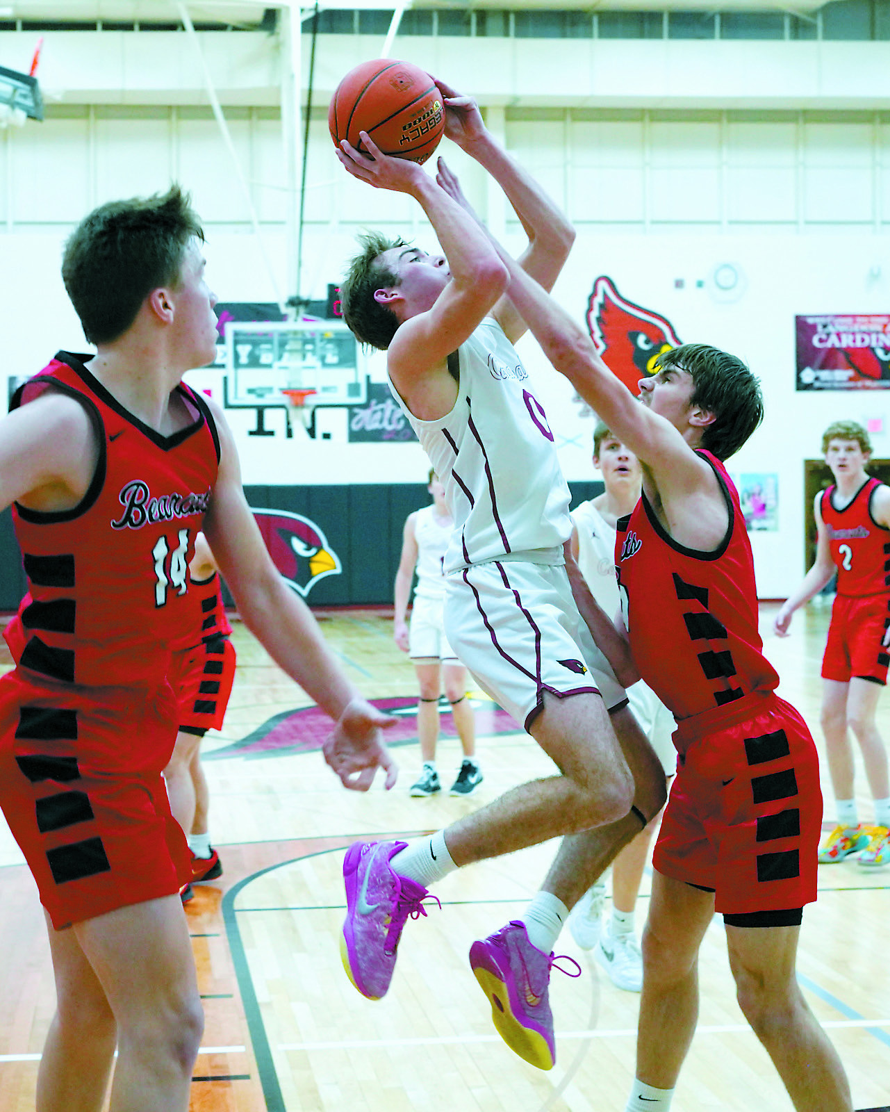 Jayden Lee gets a shot to drop while under pressure from a North Star Bearcat. Photo by Larry Stokke.