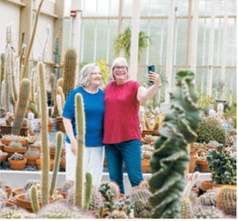 Peace Garden offers free entry for seniors