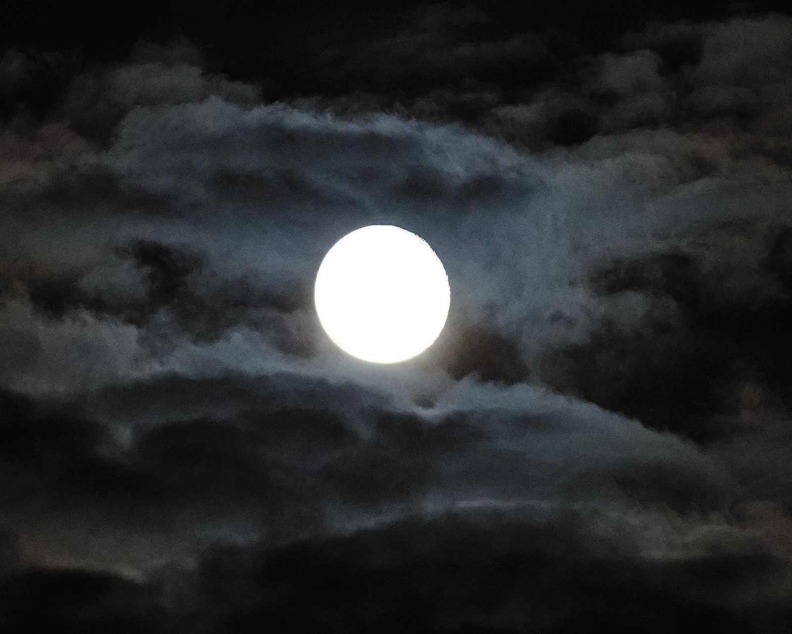 Photo by Larry Stokke.