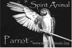 The Morning Stroll and Cuppa Joe: I’m a parrot...or a mockingbird