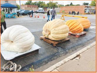 Photo courtesy of Walhalla Chamber of Commerce