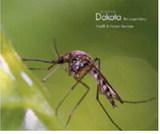 Mosquito bite prevention remains best defense against West Nile virus