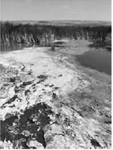 Cyanobacteria blooms can be exacerbated by prolonged high temperatures and stagnant water. (NDSU photo)