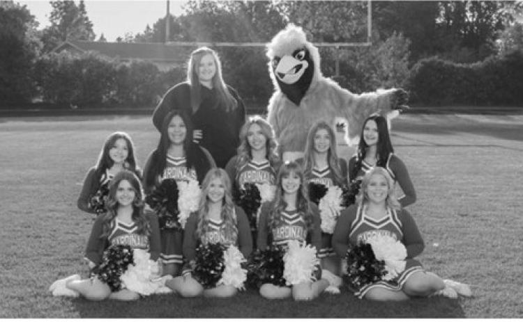 Members of the Langdon Area Cardinals cheer team are, front row, from left, seniors Ruby Davis, Maci Hoffarth, Daisy Kuhn and Claire Mehlhoff; second row, Destiny Aguilar, Gracie Gomez, Bella Haar, Nora van Heerden and Eliot Olson; and back row, coach Sierra Ferdon and mascot Jonathan Mack. Photo submitted by Sierra Ferdon, taken by Kacy Kakela.