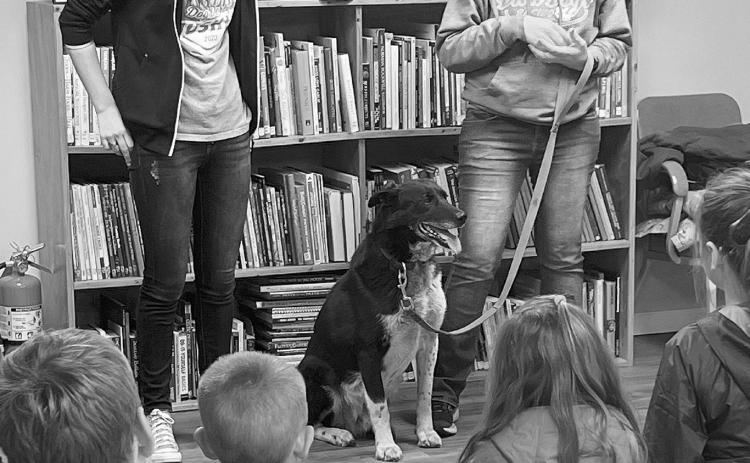Walhalla Public Library News