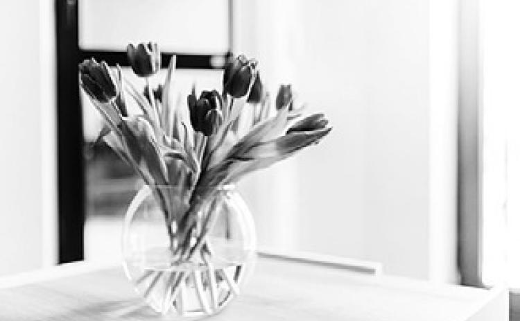 Alt Text for Image