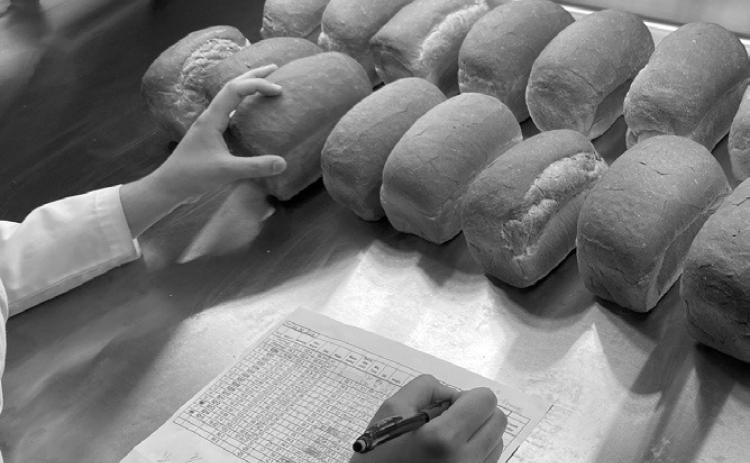 The meeting provides wheat growers and agronomists current information on variety performance, fertility management and disease control. (NDSU photo)
