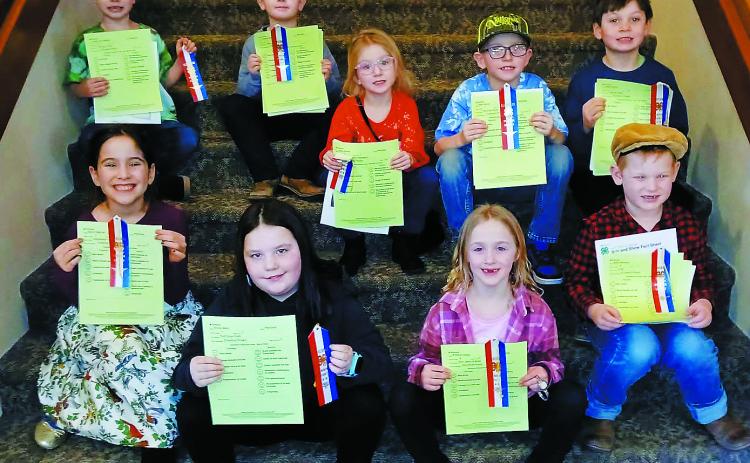 Cloverbuds: Front row (L-R): Elena Stegman, Kinsey Mertz, Brooklyn Bailey, Adam Morrison; second row: Jakob Van Niekerk, Oakley Moore, Kiara Norrell, Silas Norrell, Atlas Moore.