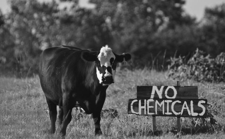 An alternative to the USDA Organic label could be more accessible for farmers, but can it stick with consumers?
