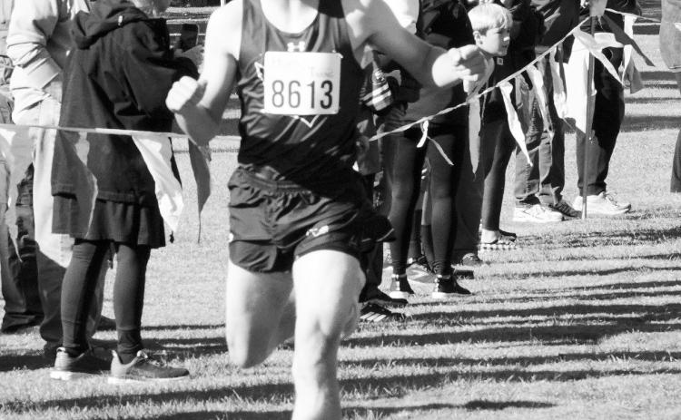 Brock Freer finished 9th place at the regional cross country meet. Photo by Larry Stokke.
