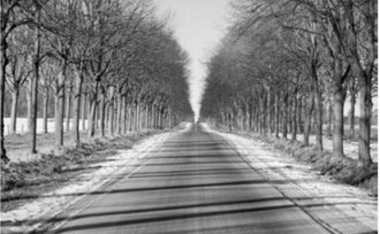 Longer days give us the sense of spring, but we are very much still in winter. Pixabay photo