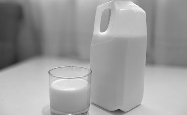 Milk safety has greatly improved since the implementation of pasteurization, which continues to safeguard public health. (NDSU photo)