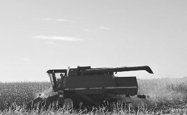 A farmer harvests corn beside Highway 163 in Iowa. (Photo by Cami Koons/Iowa Capital Dispatch)
