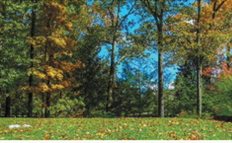 Unseasonably warm weather brings concerns