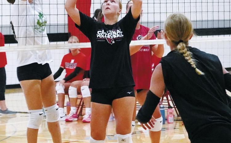 Payton Hall sets the ball to a teammate. Photo by Larry Stokke.