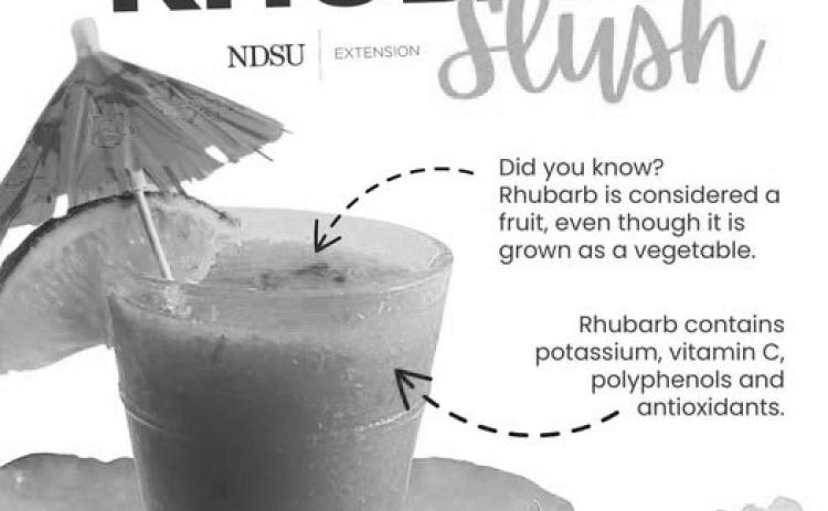Rhubarb slush recipe