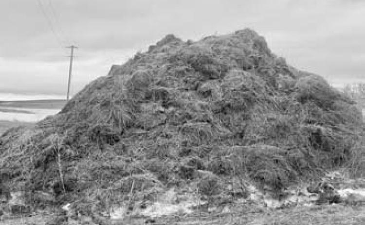 The Dec. 10 horse management webinar will feature a discussion on managing manure in the winter. (NDSU photo)