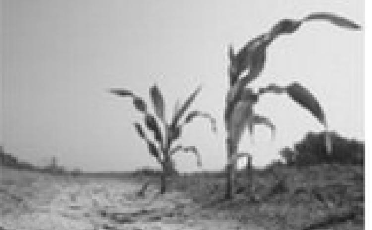 Drought conditions cover much of North Dakota
