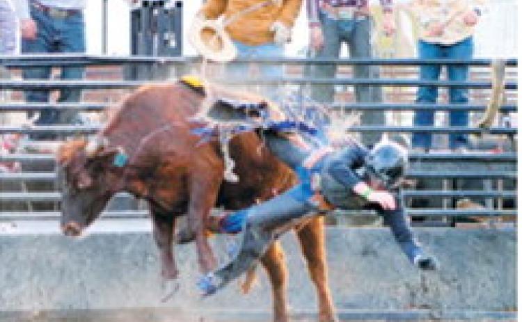A rider is thrown off balance as a bull bucks during competition at Wojo’s Rodeo in Hamilton. Photo by Larry Stokke