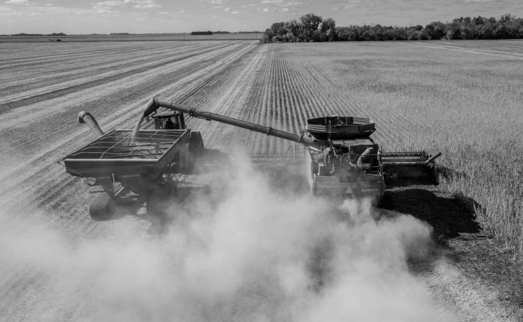 The Getting it Right webinars provide research updates and management recommendations to help farmers make informed production decisions for the 2026 growing season. (NDSU photo)
