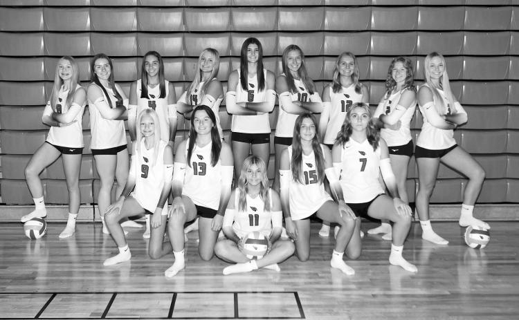 Lady Cards ready to make their own identity in quest to return to State B Tourney